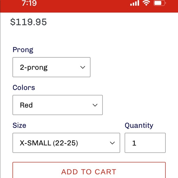 Inzer Powerlifting XS Belt - Picture 8 of 8